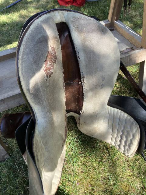 Sella amazzone  BP Swain - Side Saddle  17.5" - 1996