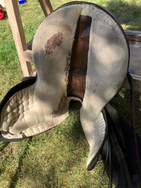 Sella amazzone  BP Swain - Side Saddle  17.5" - 1996