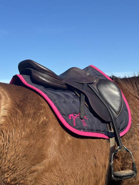 Sella mista Prestige Italia  17" - 2015