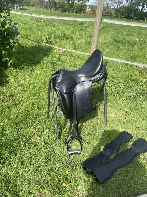 Sella da dressage Childeric  17.5" - 2018