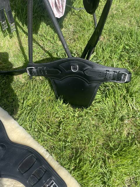 Sella da salto ostacoli Equipe  17.5" - 2016