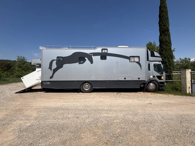 Camion per Cavalli Renault Prenium 1997 Occasione
