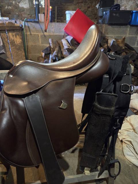 Sella mista Bates  17.5" - 2013