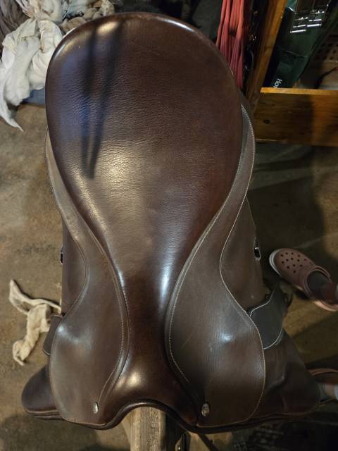 Sella mista Bates  17.5" - 2013