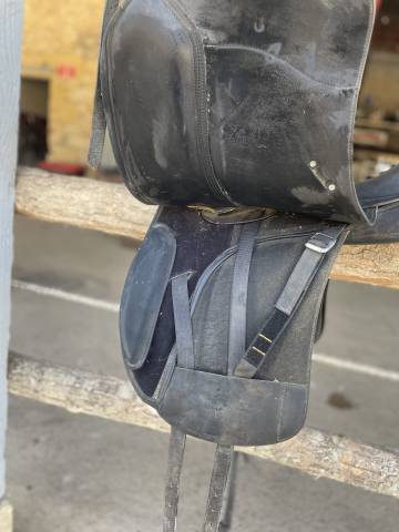 Sella da dressage Wintec  17.5" - 2015