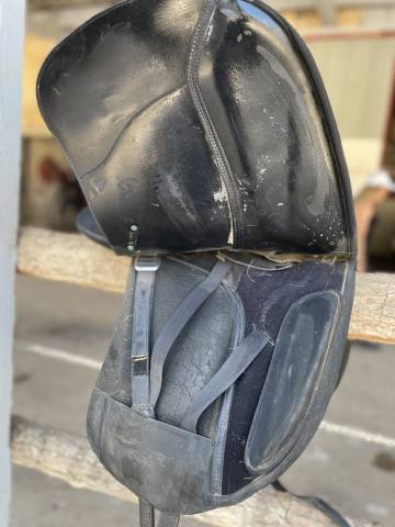Sella da dressage Wintec  17.5" - 2015