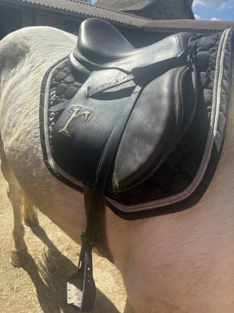 Sella mista Rebelle  17.5" - 2020