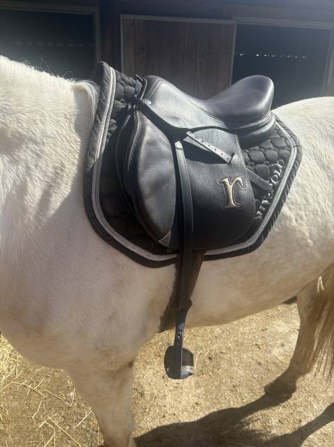 Sella mista Rebelle  17.5" - 2020