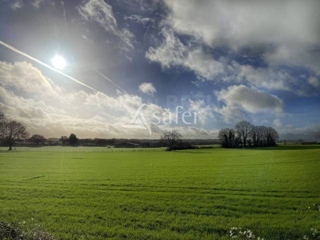 Azienda agricola In vendita Vend&eacute;e
