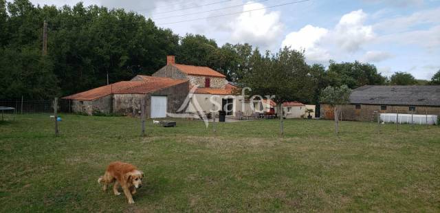 Azienda agricola In vendita Vend&eacute;e
