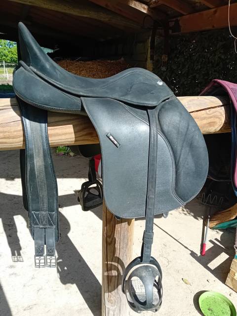 Sella mista Wintec  17.5" - 2021