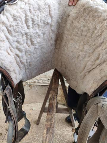 Sella western Barefoot   18" - 2017