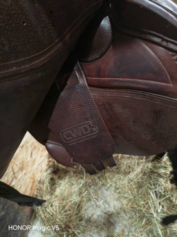 Sella mista CWD  17" - 2018