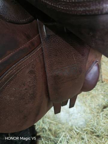 Sella mista CWD  17" - 2018