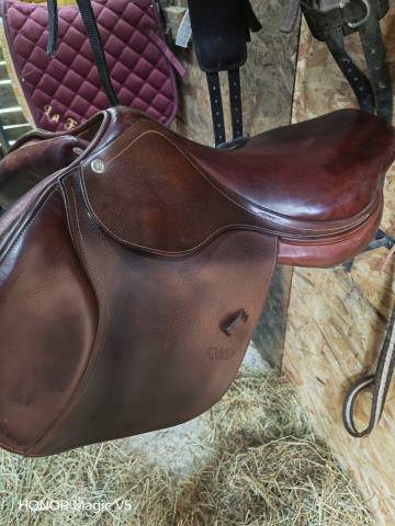 Sella mista CWD  17" - 2018