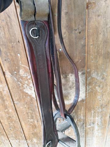 Sella mista CWD  17" - 2018