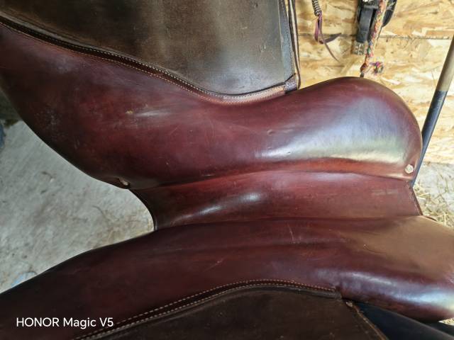 Sella mista CWD  17" - 2018