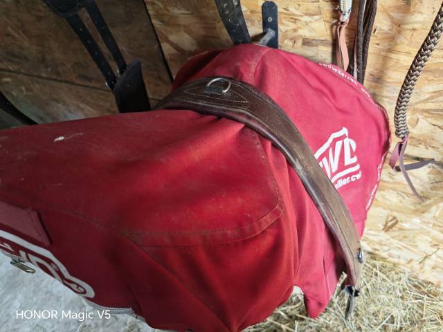 Sella mista CWD  17" - 2018