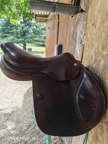 Sella mista CWD  17" - 2018