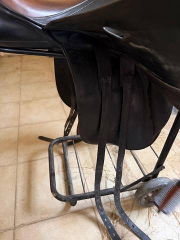 Sella da dressage  DAALEMAN 18" - 2020