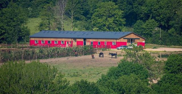 Centro di stagione cavallo In vendita Orne