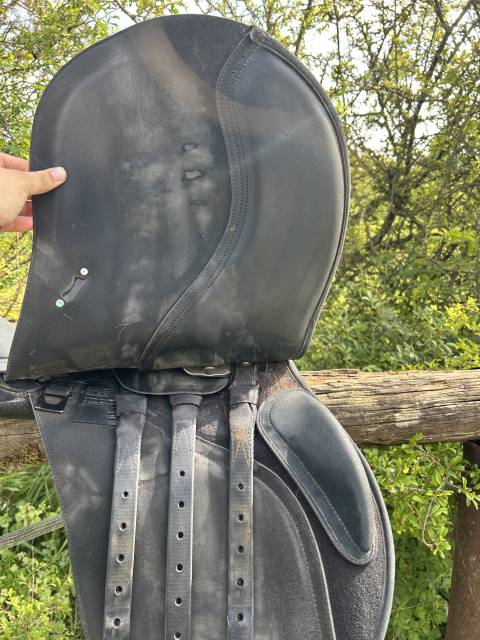Sella mista Wintec  17.5" - 2020