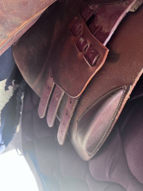 Sella mista  Tradition  17.5" - 2016