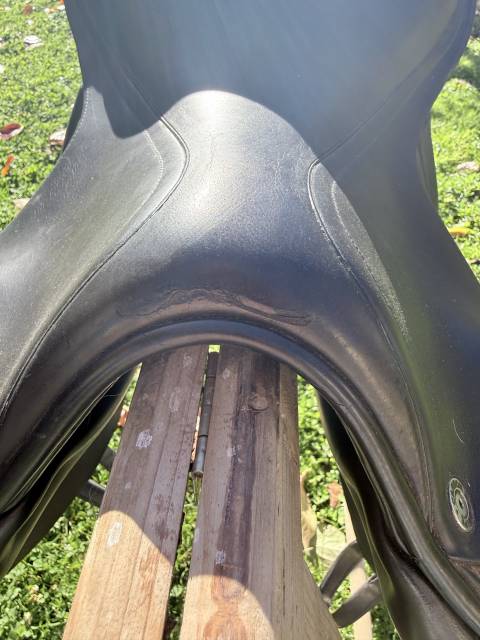 Sella equipe carbon ek-26