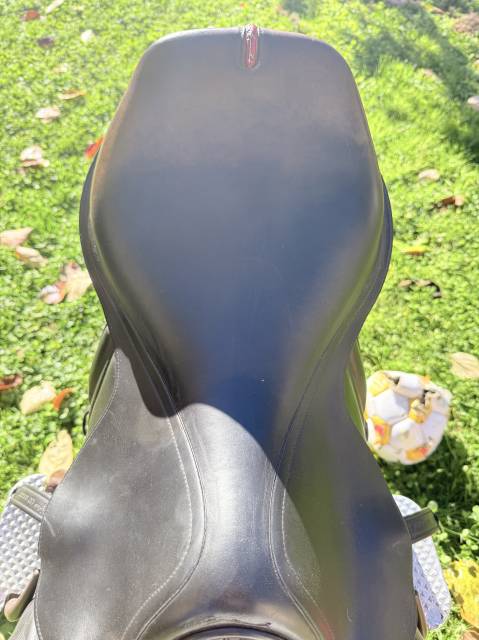 Sella equipe carbon ek-26