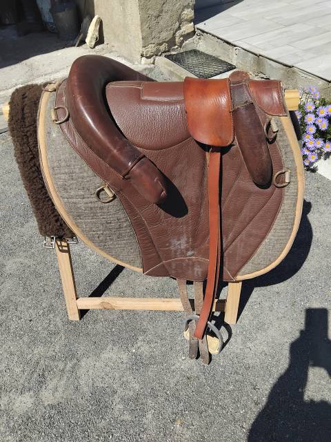 Bareback   17.5" - 2005