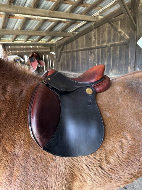 Sella mista Jean-Luc Maurel  16.5" - 2019