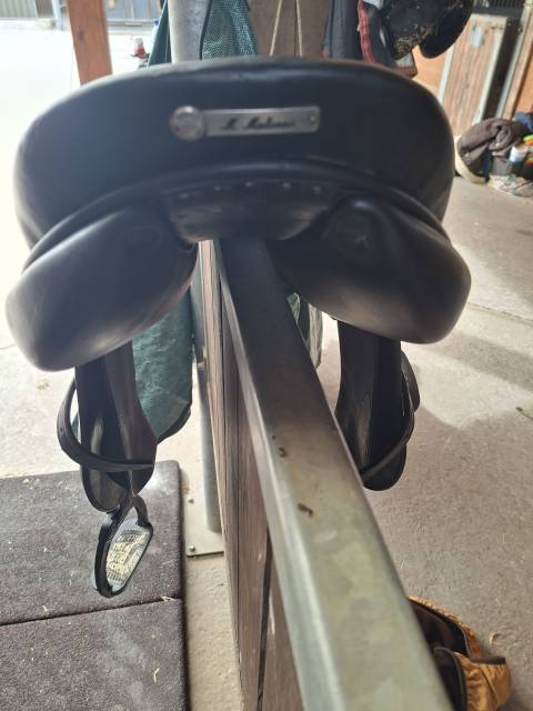 Sella da salto ostacoli   16.5" - 2015