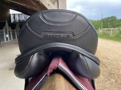 Sella da dressage Erreplus  17