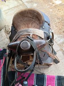 Sella western   14