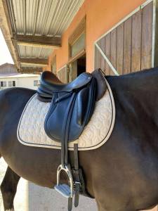 Sella da dressage CWD  17