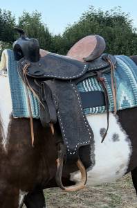 Sella western   15.5