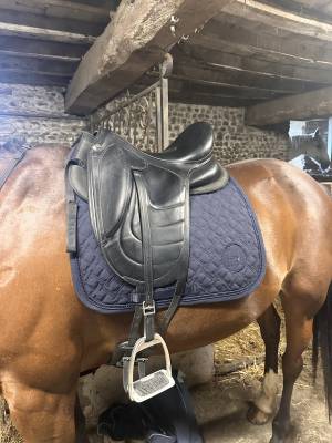 Sella da dressage Devoucoux  17