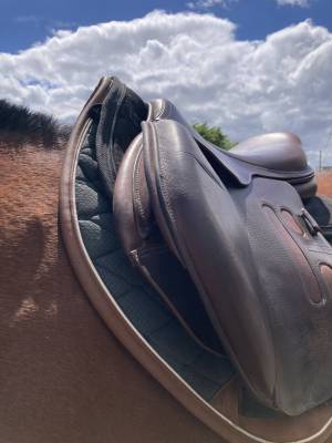 Sella da salto ostacoli GBS  17