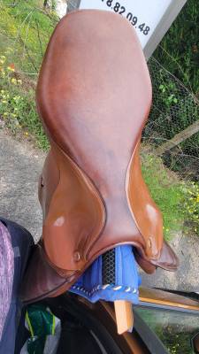 Sella mista Prestige Italia Golden star  16.5