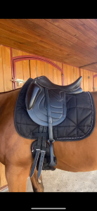 Sella da dressage Eric Thomas  17.5