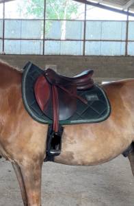 Sella mista CWD  16.5