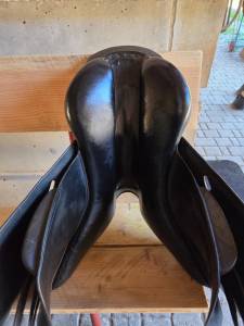 Sella mista Forestier  16.5