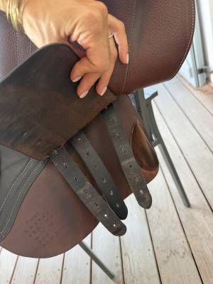 Sella mista Forestier  16.5