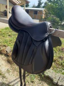 Sella mista Forestier  17.5