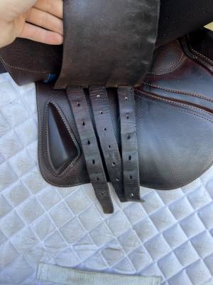 Sella da salto ostacoli CWD  16.5