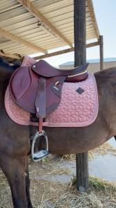 Sella mista CWD  17