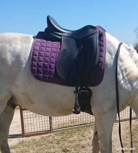 Sella da dressage Tekna  17.5