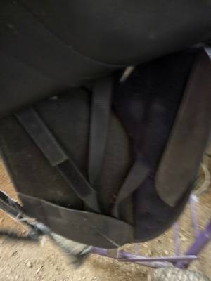 Sella da dressage Wintec  17.5