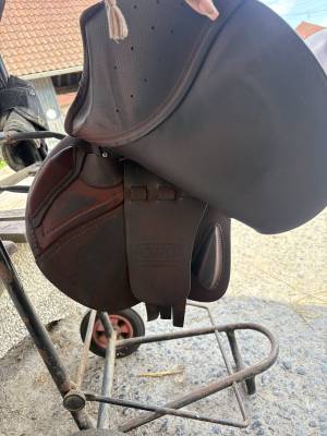 Sella mista CWD  17