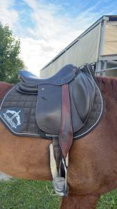 Sella mista Mondange Sports 17.5